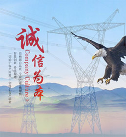 绝缘子|绝缘子|复合绝缘子|玻璃绝缘子|支柱绝缘子|电力金具厂家-河间天恒电力器材left图